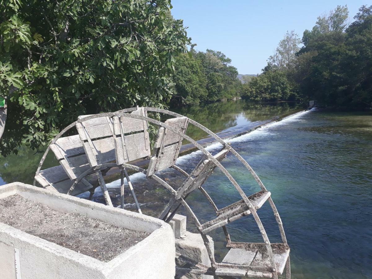 Mas Et Gite De La Picholine LʼIsle-sur-la-Sorgue Esterno foto
