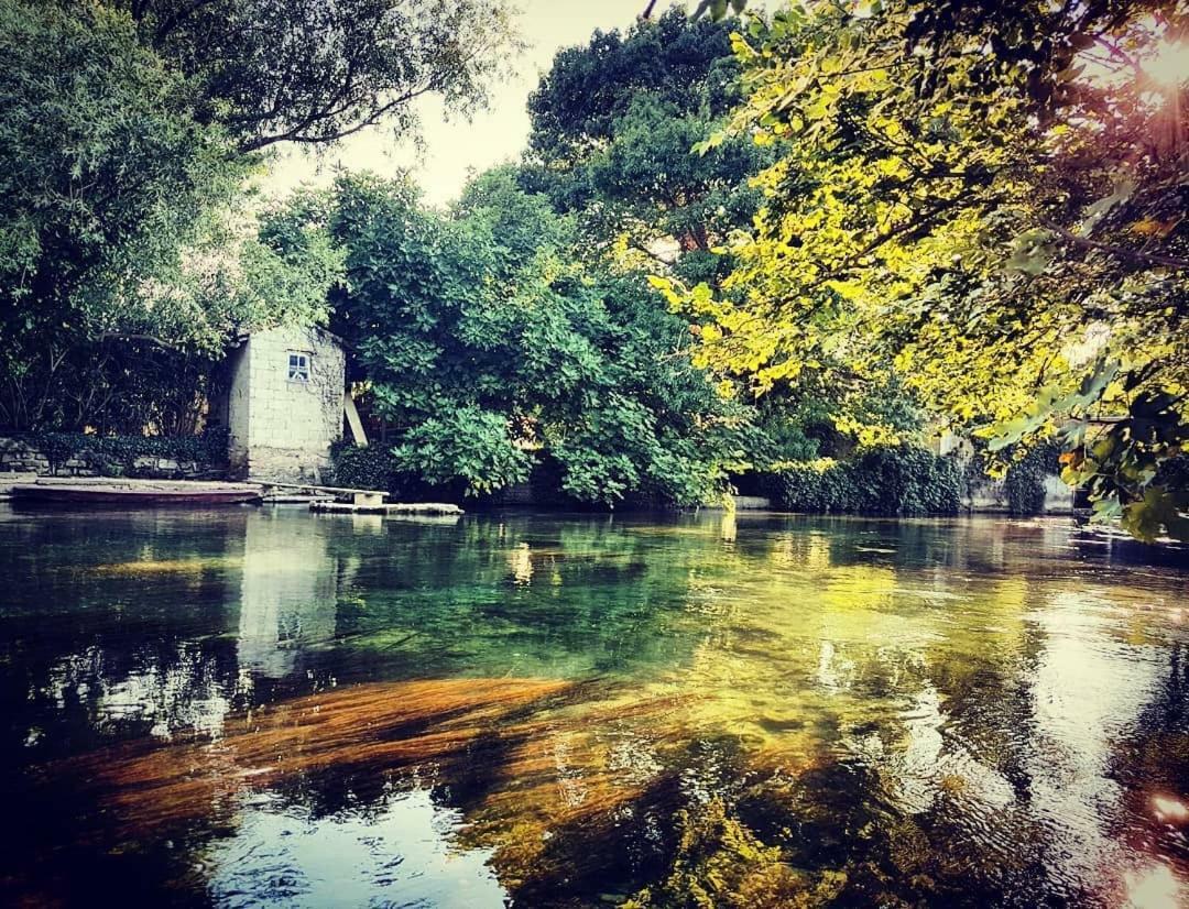 Mas Et Gite De La Picholine LʼIsle-sur-la-Sorgue Esterno foto